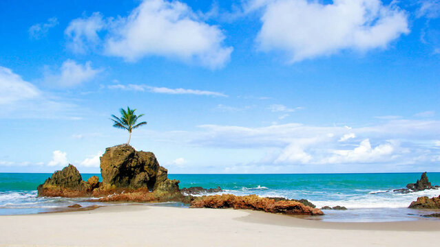 Beleza Intocada de Tambaba, Para&iacute;ba
