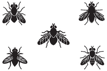 Icon of an insect fly silhouette. A black vector of a housefly on a white background.
