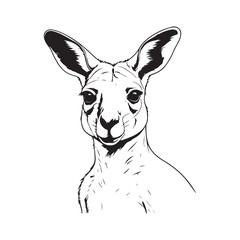 Kangaroo line art vector silhouette with white Background