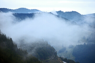 Fototapeta premium Nebel liegt über dem Schwarzwald