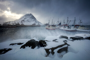 Unique dramatic landscape of difficult northern survival. Snow blizzard and strong winds in winter...