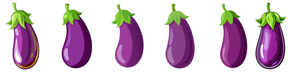eggplant vector, illustration of eggplant isolated on white background