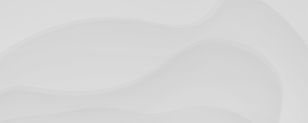 Obraz premium A minimalist abstract background featuring soft, flowing white waves