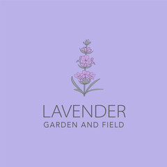 Lavender flower vector logo. Floral design label