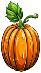 pumpkin vector, illustration of pumpkin isolated on white background