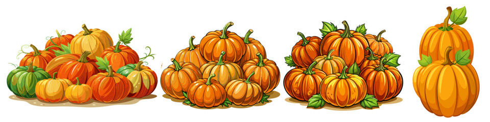 pumpkin vector, illustration of pumpkin isolated on white background