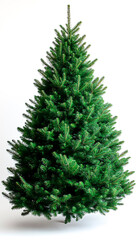 Fototapeta premium Vertical. Pine tree. Space for text. Christmas. Snow. Holidays.