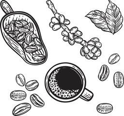 Coffee cup and beans on the branch and in the scoop line drawing isolated on white background.