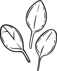 Three spinach leaves vector illustration.
