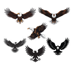 A majestic eagle soars with outstretched wings, embodying strength and freedom, its keen eyes focused, symbolizing vision and power in every flight.