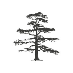 A tree silhouette is a striking, dark outline of a tree against a lighter background, capturing the tree's intricate branches and form in a simple, elegant shape.