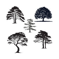 Timeless Tree Silhouette.