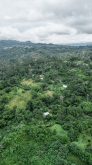 Fototapeta premium Aerial and vertical shot of mountains with green trees and bushes in the middle of the Caribbean mountainous area of ​​the Limon province in Costa Rica
