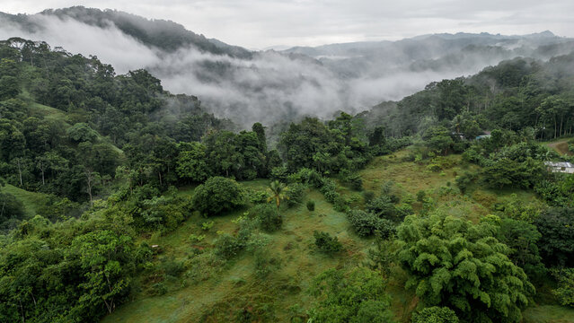 Aerial shot of a rural area full of vegetation and pastures in the middle of the Caribbean jungle with mountains and fog in the province of Lim&oacute;n in Costa Rica