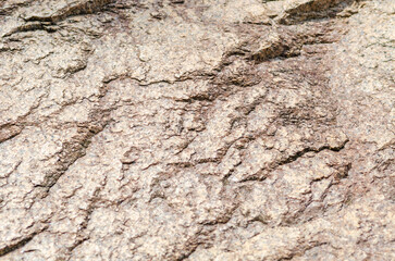 岩の表面のテクスチャ