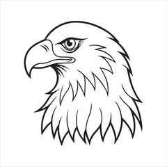 Golden Eagle Head