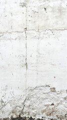 A large, dirty, old white concrete wall texture showcases wear and age, with rough surfaces and faded areas, creating a rustic, weathered appearance.