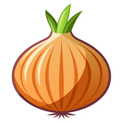 onion vector, illustration of onion isolated on white background