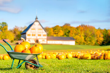 Schubkarre voller Kürbisse vor Bauernhof 