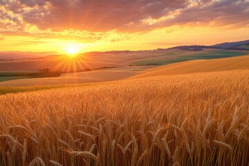 Obraz premium Idaho Region: Beautiful Palouse Agriculture Landscape in Distinct Geographic Region of Washington and Oregon