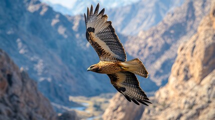 A Powerful Hawk Soars Through the Sky, Its Wings Spread Wide ai image