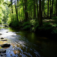 Fototapeta premium Sunlit Forest Stream in Serene Woodland