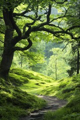 A serene pathway through a lush green forest, surrounded by vibrant trees and soft moss, inviting exploration and tranquility.