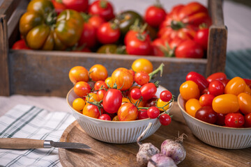 Auswahl verschiedener Tomaten in der Küche, viele Sorten Tomaten, frisches Gemüse zubereiten