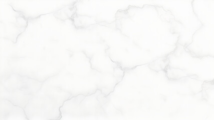 Obraz premium background texture of white marble with gray veins 