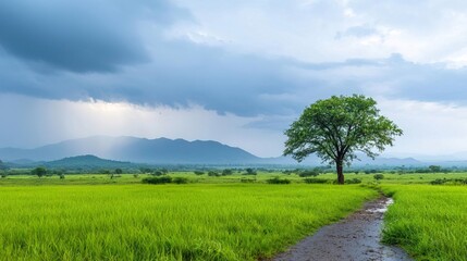 Obraz premium Dramatic monsoon rain over rural village