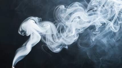 Fototapeta premium White Smoke Tendrils on Black Canvas, swirling forms create a striking contrast, evoking a sense of mystery and drama, captivating with their bold presence and elegance.