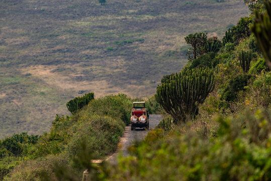 Safari at the Ngorongoro Conservation Area, Tanzania