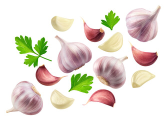 Garlic isolated set. Collection of garlic, garlic cloves and parsley leaves on transparent background.