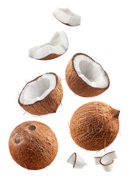 Coconuts isolated set. Collection of coconut, halves and slices on a transparent background.