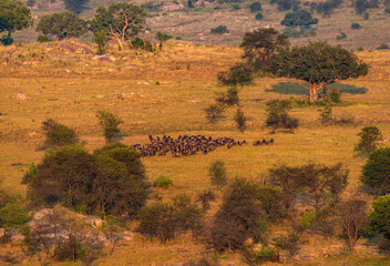 Serengeti National Park, Tanzania