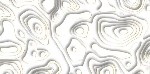 Abstract design with black and white abstract papercut and multi-layer cutout geometric pattern on vector Topographic canyon geometric map relief texture with curved layers beautiful design.	