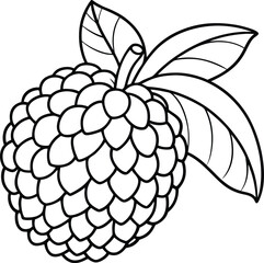 Atemoya fruit line art illustration black and white