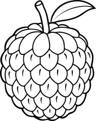 Atemoya fruit line art illustration black and white