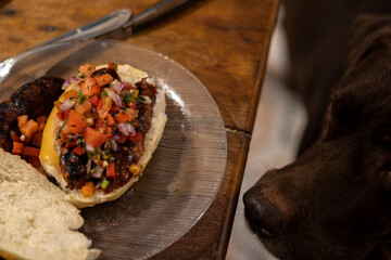 argentine choripan sandwich, dog craving on the background