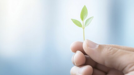 Elevate consulting practices with tailored solutions that enhance client value and growth potential