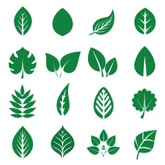 Set of different style simple tree leaves icon set vector illustrations on a white background