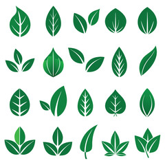 Set of different style simple tree leaves icon set vector illustrations on a white background
