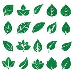Set of different style simple tree leaves icon set vector illustrations on a white background