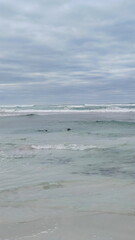 Coastal landscape of the Kangaroo Island
