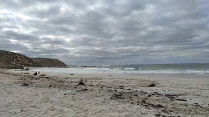 Coastal landscape of the Kangaroo Island