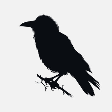 recommend clip art:  black silhouette bird, crow, very simple and single crow silhouette white background