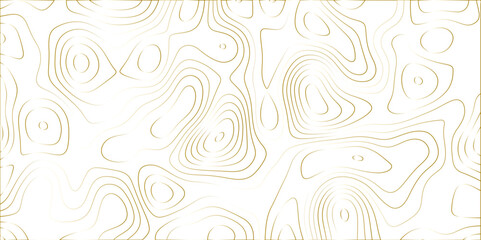 Abstract design with black and white abstract papercut and multi-layer cutout geometric pattern on vector Topographic canyon geometric map relief texture with curved layers beautiful design.	
