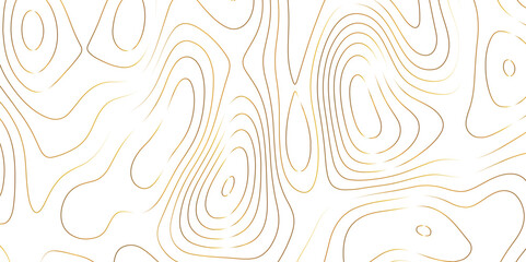 Abstract design with black and white abstract papercut and multi-layer cutout geometric pattern on vector Topographic canyon geometric map relief texture with curved layers beautiful design.	
