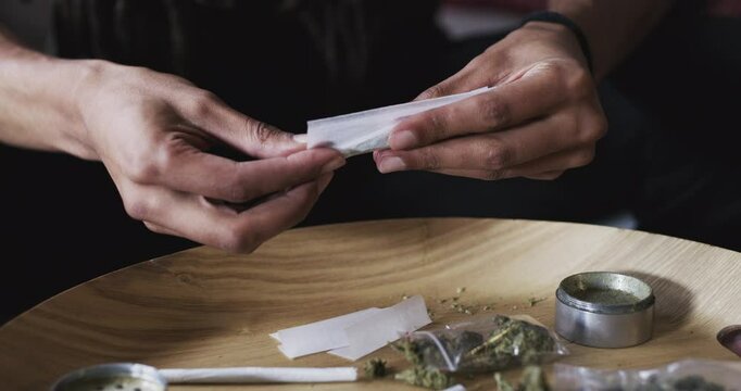 Cannabis joint, hands and person prepare blunt, 420 marijuana leaf or CBD for home smoking, drugs or wellness. Natural stress relief, weed paper and closeup smoker with plant herb, pot or THC high