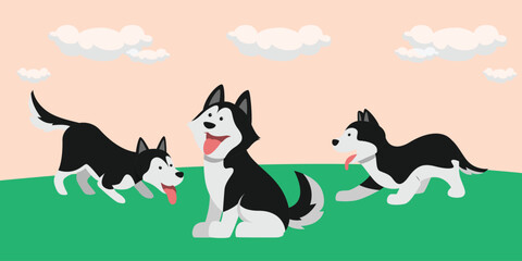 Naklejka premium Adorable Siberian Husky Dogs in Various Poses